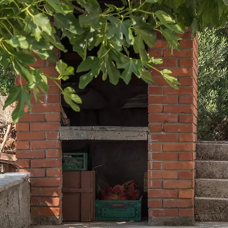 Strawberry Daire Makarska
